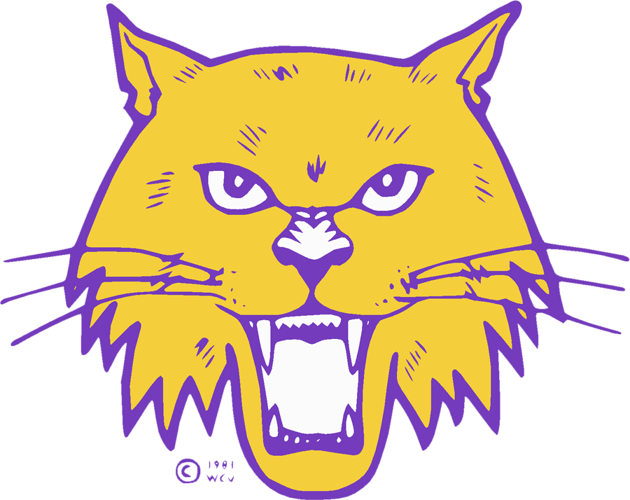 Western Carolina Catamounts 1981-1996 Secondary Logo diy iron on heat transfer